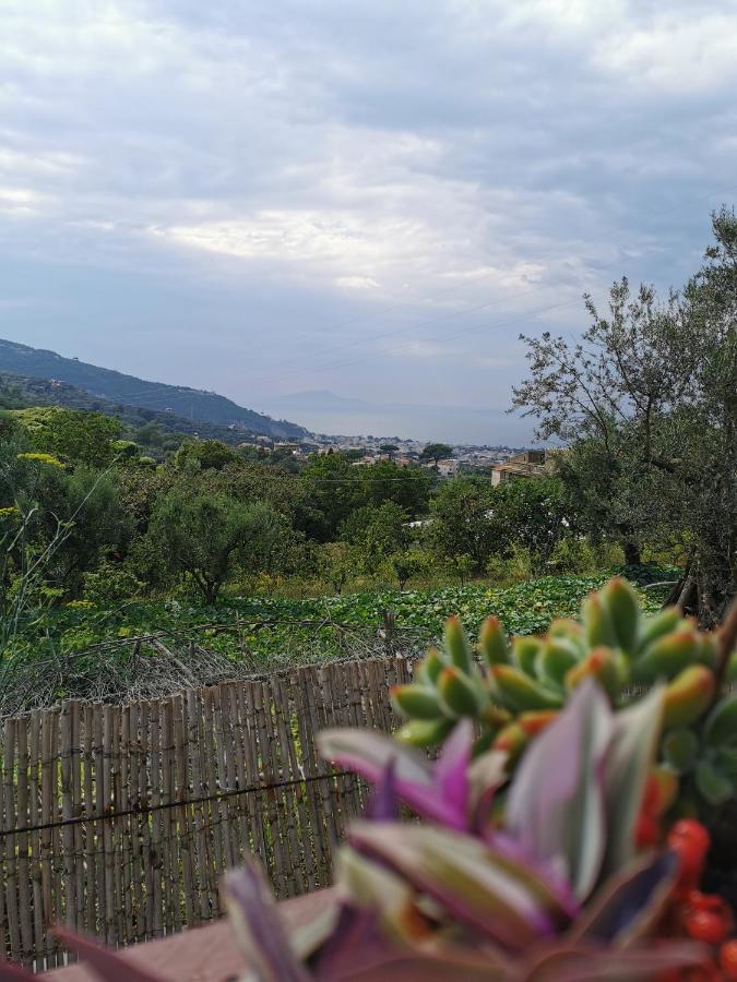 L'Angolo Di Campagna 피아노 디 소렌토 외부 사진